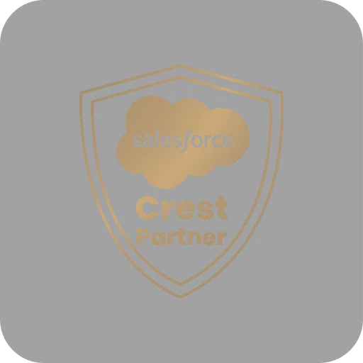 Salesforce Great Partner